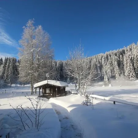 Apartment Gaestehaus Seewald- 5 