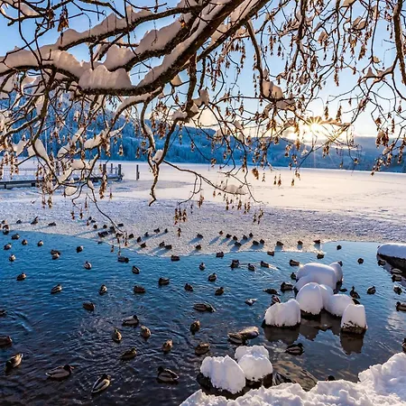 Gaestehaus Seewald- 5 